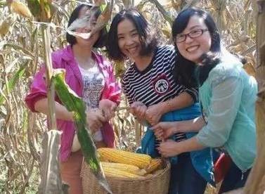 2.掰玉米人員25名，要求至少1年工作經(jīng)驗(yàn)，手腕有勁手指靈活，拉呱時(shí)候能不耽誤干活，皮糙肉厚者優(yōu)先：