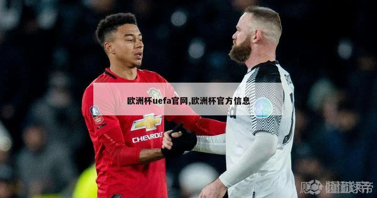 欧洲杯uefa官网,欧洲杯官方信息