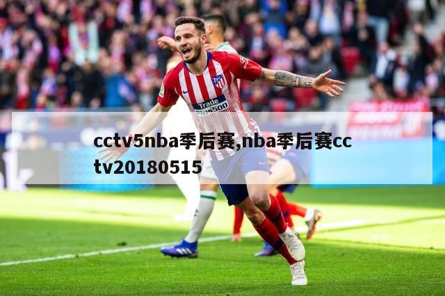 cctv5nba季后赛,nba季后赛cctv20180515