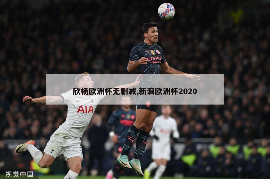 欣杨欧洲杯无删减,新浪欧洲杯2020