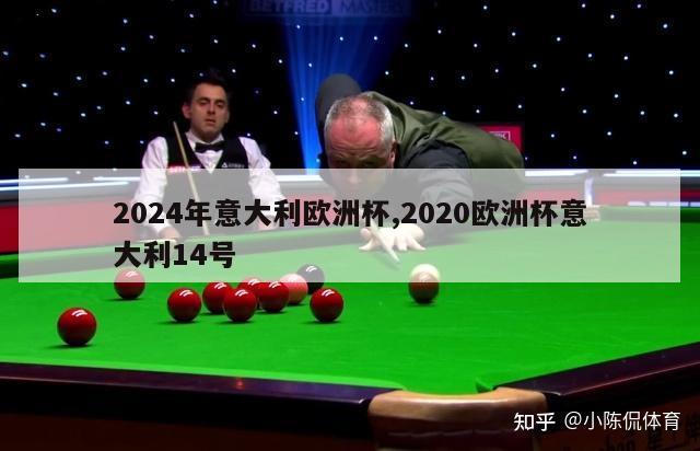 2024年意大利欧洲杯,2020欧洲杯意大利14号