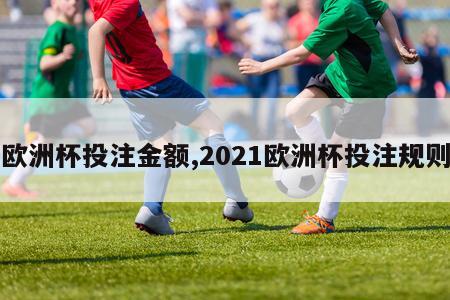 欧洲杯投注金额,2021欧洲杯投注规则