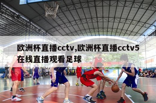 欧洲杯直播cctv,欧洲杯直播cctv5在线直播观看足球