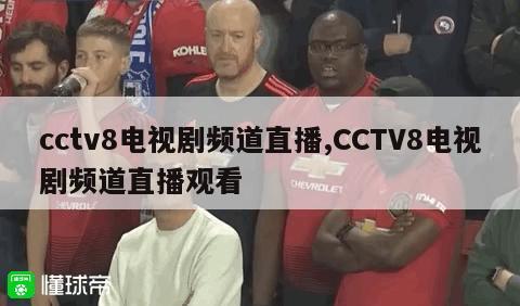 cctv8电视剧频道直播,CCTV8电视剧频道直播观看