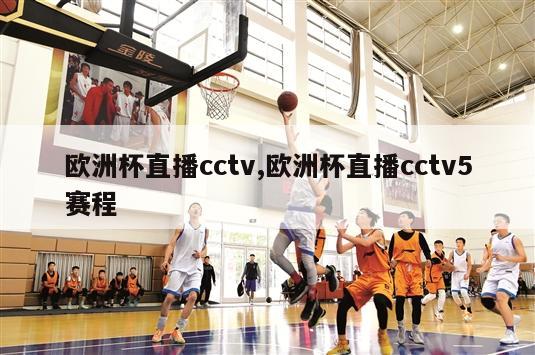 欧洲杯直播cctv,欧洲杯直播cctv5赛程