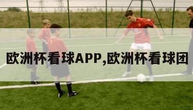 欧洲杯看球APP,欧洲杯看球团