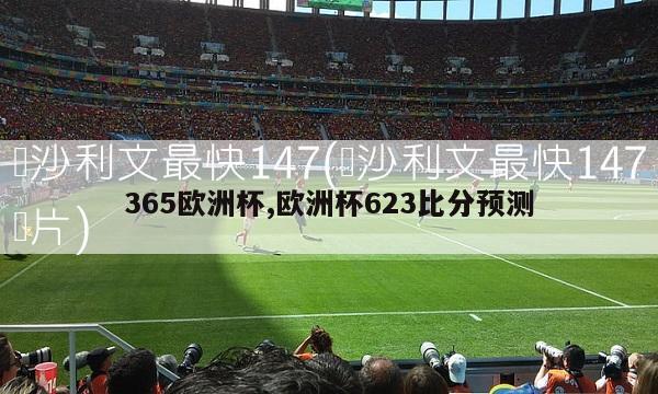 365欧洲杯,欧洲杯623比分预测