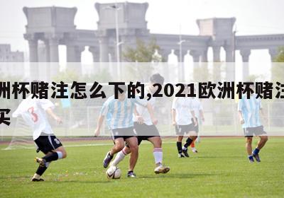 欧洲杯赌注怎么下的,2021欧洲杯赌注怎么买