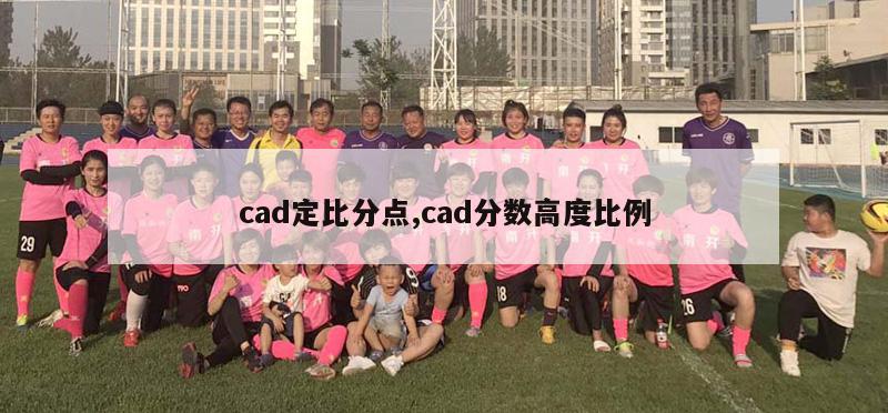 cad定比分点,cad分数高度比例