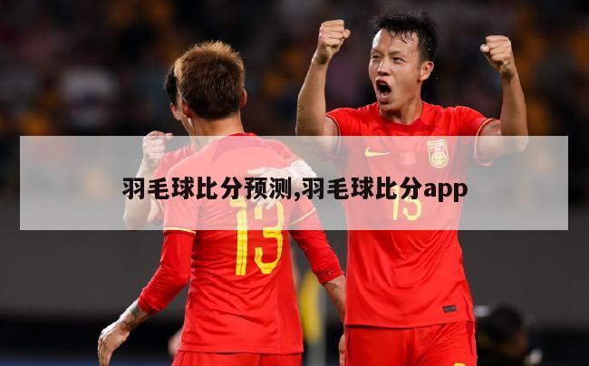 羽毛球比分预测,羽毛球比分app