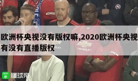 欧洲杯央视没有版权嘛,2020欧洲杯央视有没有直播版权