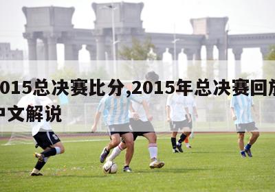 2015总决赛比分,2015年总决赛回放中文解说